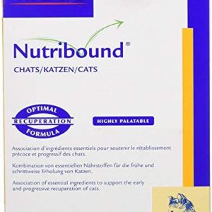 Probiotique pour Chat Virbac Nutribound