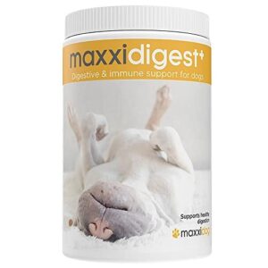 Probiotiques, prébiotiques et enzymes digestives pour chiens