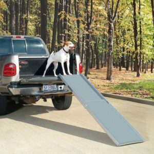 Rampe Télescopique Pour Chien Voiture
