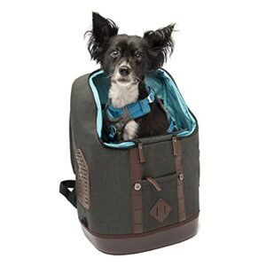 Sac à dos de Transport pour Petits Chiens et Chats