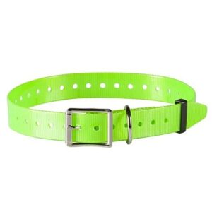 Sangle polyuréthane Vert Fluo Chien de chasse NUM'AXES