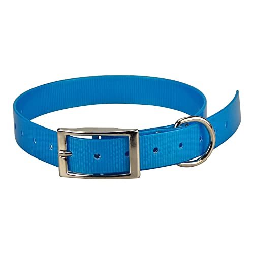 Sangle pour collier Garmin T5 TT15-25 mm x 68 cm Bleu Clair