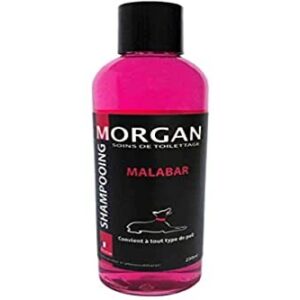 Shampoing Protéiné Malabar pour Chien