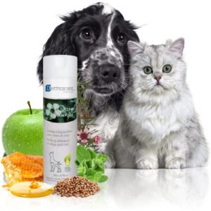 Shampooing  pour chiens et chats  anti-démangeaisons