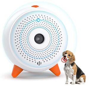 Solutions Anti-Aboiement pour Chien