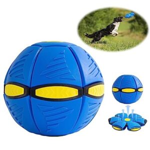 Soucoupe Volante Jouet pour Chien Indestructible Interactif