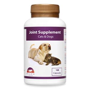 Supplément articulaire Naturel Anti-inflammatoire pour Chiens et Chats