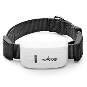 Traceurs GPS chien  localisateur TKSTAR GPS