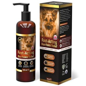 Traitement anti diarrhée chien Soulagement diarrhée pour les grands chiens