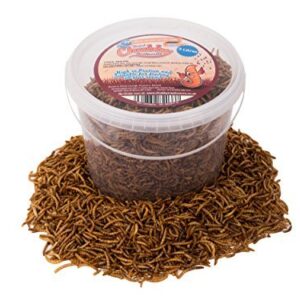 Vers de farine séchés Mealworms