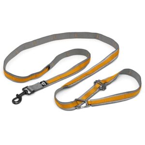 Kurgo Quantum Laisse pour Chien 6 en 1 Mains Libres Ceinture réglable