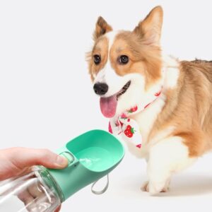 Bouteille d'eau Portable pour Chien - Voyage et Plein air