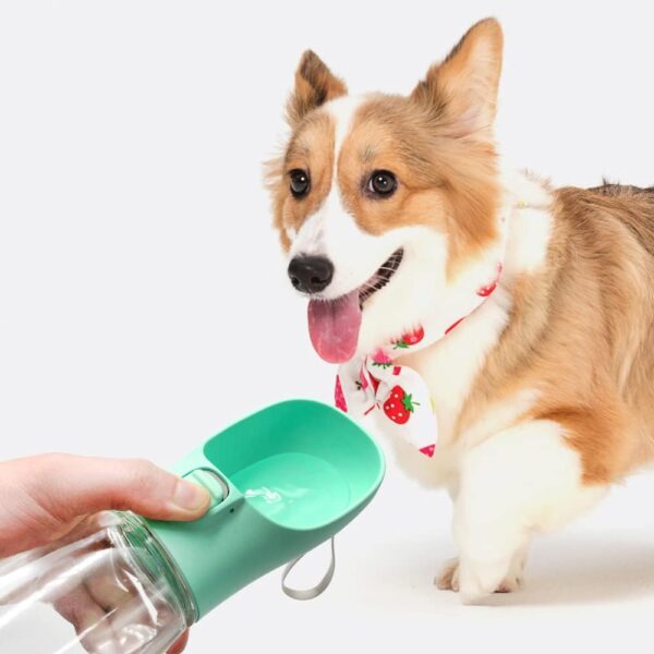 Bouteille d'eau Portable pour Chien - Voyage et Plein air