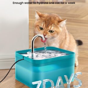 Fontaine à Eau pour Chat Silencieuse