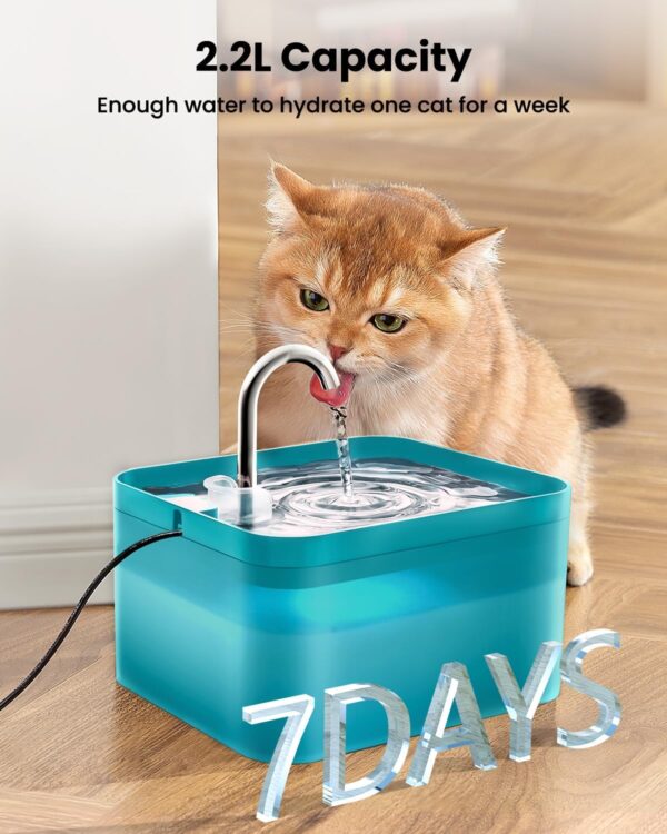 Fontaine à Eau pour Chat Silencieuse