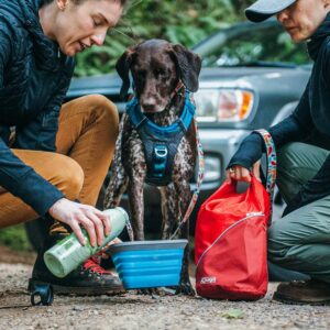 Sac de Transport Croquette pour Chien