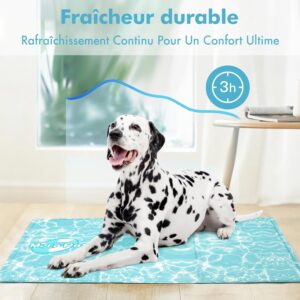 Tapis Rafraîchissant pour Chien & Chat - Gel Non Toxique, Étanche & Durable Pawtasy