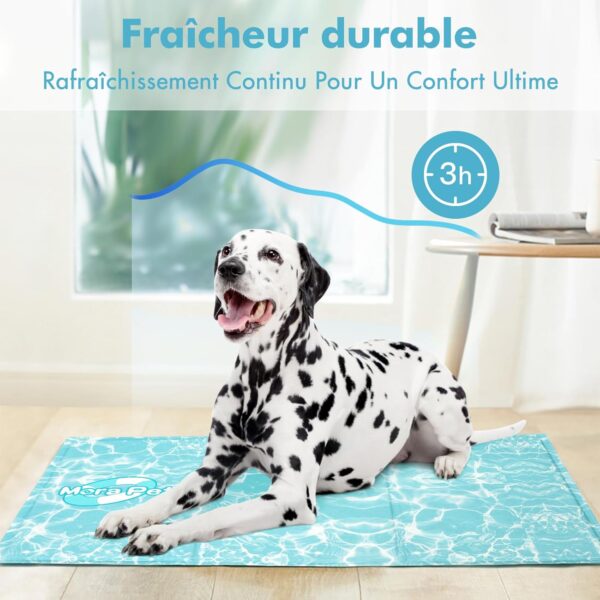 Tapis Rafraîchissant pour Chien & Chat - Gel Non Toxique, Étanche & Durable Pawtasy