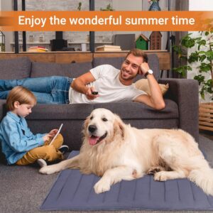 Tapis Rafraîchissant Réversible Portable pour Chien & Chat