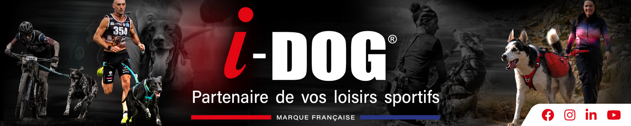 I-DOG - Logo