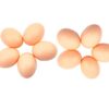 Lot de 10 œufs factices en plastique œufs de nid faux œufs de poule œufs pour aider des poules à pondre œufs artificiels