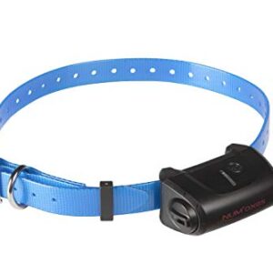 NUM'AXES Collier Seul CANICOM 5 avec Sangle Bleue