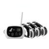 QXbecky Système de clôture de Chien à Distance sans Fil étanche 1/2/3 Animaux de Compagnie 0-100 Niveau Dispositif de clôture électronique Collier de Dressage de Chien Choc électrique 661for3dogs