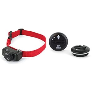 PetSafe - Collier Anti-Fugue Deluxe pour Chien pour Clôture Anti-Fugue avec Fil & Lot de 2 Piles RFA-67 (6V) - Compatible Collier de Dressage, Anti-Aboiements et Anti-Fugue pour Chien
