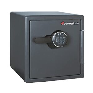 SentrySafe Fire Safe, Extra Large Coffre-Fort numérique, 1.23 mètres Cubes, Sf123es