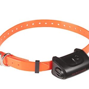 NUM'AXES Collier Seul CANICOM 5 avec Sangle Orange