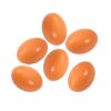 Œufs de Poule Faux oeufs de poule Lot de faux œufs en bois pour aider à pondre des poules – Outil agricole – Mannequin de nid de volaille 6 pièces œufs fictifs