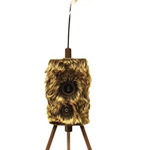 Mojo extérieur Super Critter Predator Leurre avec Son