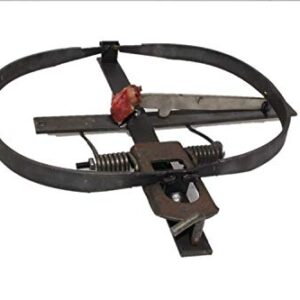 TRAPGALLIER piège à appât de 30cm spécial Rats, Renards.