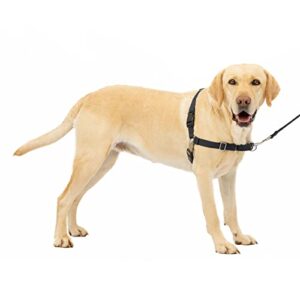PetSafe Harnais Easy Walk avec Boucle Anti-Traction Et Laisse De 1,8 M, Promenade Confortable pour Vous Et Lui - 4 Points De Réglage â€“ Résistant, Facile Ã€ Mettre Et Enlever â€“ Noir, Taille L