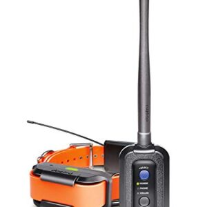 Dogtra Pathfinder Collier de Dressage pour Chien