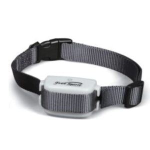 PetSafe Free Spirit - Collier et Clôture Anti-Fugue pour Animaux de Compagnie, pour Animaux de Plus de 3,5 kg