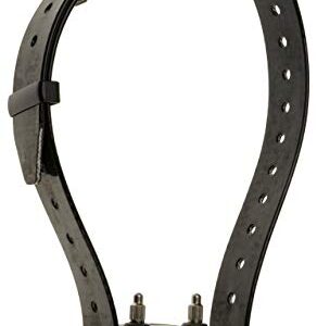 NUM'AXES Collier Seul CANICOM avec Sangle Noire