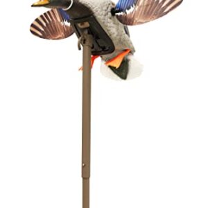 MOJO Outdoors Hw2470-2 Elite Series Mini Canard Unisexe, Drake