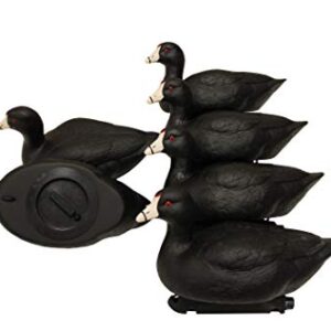 MOJO Coot Confidence Lot de 6 leurres pour pêche au canard avec accessoires pour accroître le réalisme et attirer les canards vers la terre