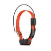 Garmin Alpha TT 25 GPS Collier de suivi et d’entraînement pour chiens