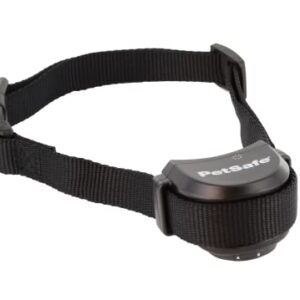 PetSafe Collier à piles pour clôture anti-fugue sans fil Stay & Play pour Chiens et chats de 2,3 kg et plus - Collier-récepteur étanche avec stimulation sonore et électrostatique