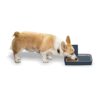 PetSafe – Distributeur Automatique de Croquettes Numérique pour Chat et Chien, 2 Repas Programmable (355ml), Écran Digital, Minuterie, sans BPA, lavable au lave-vaisselle, design antidérapant, à pile