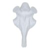 Euohunt Crâne synthétique en résine pour bois (cerf du pôle 40 mm)