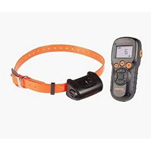 NUM'AXES CANICOM 5.202