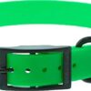 CANIHUNT Collier Xtreme Polyuréthane – Boucle Double – 16 Coloris (2.5 x 0.25 x 65 cm, Vert)