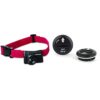 PetSafe – Collier Anti-Fugue pour Chien Supplémentaire pour Clôture Anti-Fugue sans Fil & Lot de 2 Piles RFA-67 (6V) – Compatible Collier de Dressage, Anti-Aboiements et Anti-Fugue pour Chien