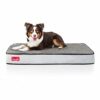 Brindle Lit orthopédique imperméable en Mousse à mémoire de Forme pour Animal Domestique – Housse Amovible et Lavable en Machine – 10,2 cm – Soulagement des articulations