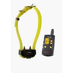 NUM'AXES CANICOM 300