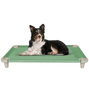 Acrimet Lit surélevé pour Chien, en Tissu en Maille Lavable et Respirant, Cadre en Acier Inoxydable, utilisable en intérieur et en extérieur, (Taille : 40”x 24”) (Couleur Verte) (1 unité)