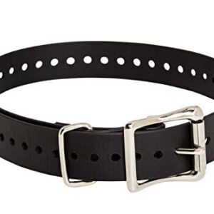 SportDOG Marque 2,5 cm Sangle de Collier